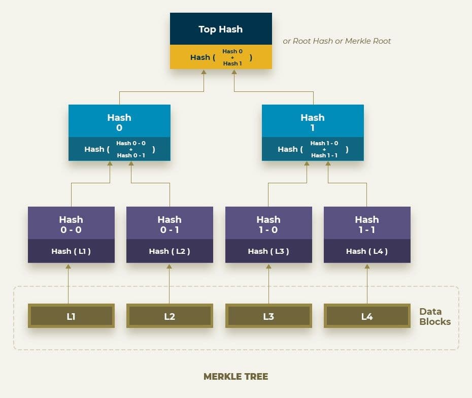 Merkle Tree illustration